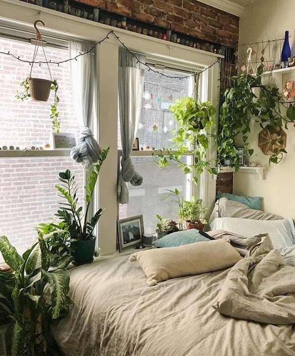 Có nên hay không trồng cây cảnh trong phòng ngủ?